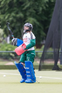 Bild 241 - BL Der Club an der Alster - Uhlenhorster HC : Ergebnis: 2:0